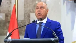 بدء التشغيل التجريبي لمحطة هاتشيسون بميناء السخنة يعزز حركة التجارة البحرية في مصر